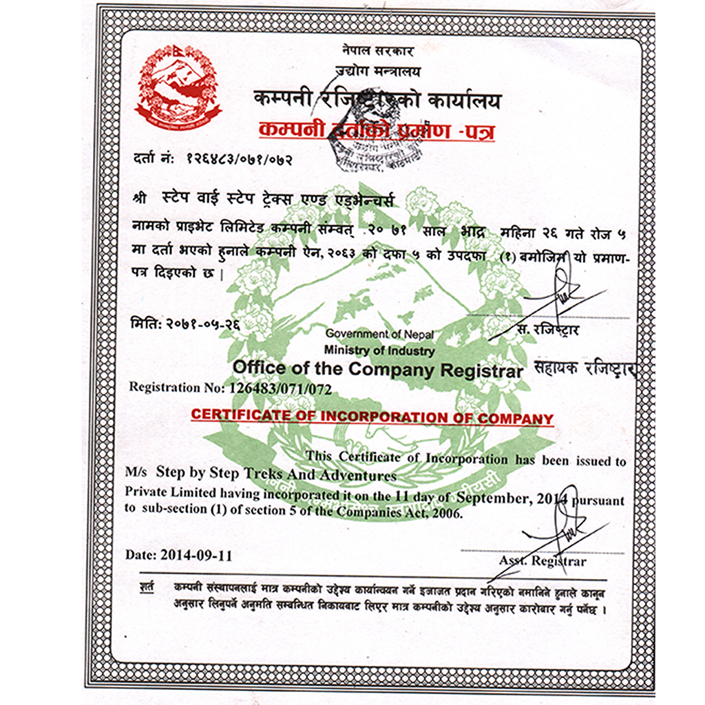 Certificate of Incorporation of Company